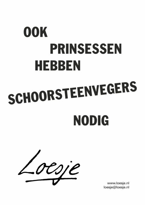 ook prinsessen hebben schoorsteenvegers nodig