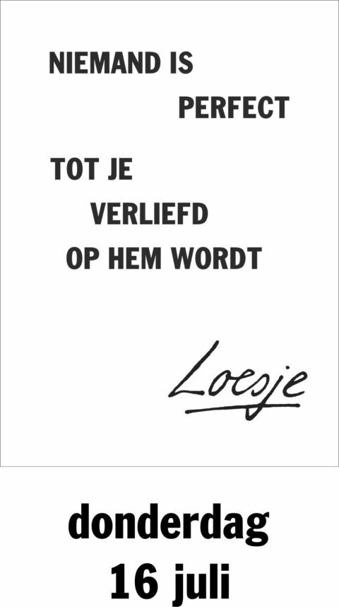 Niemand is perfect tot je verliefd op hem wordt
