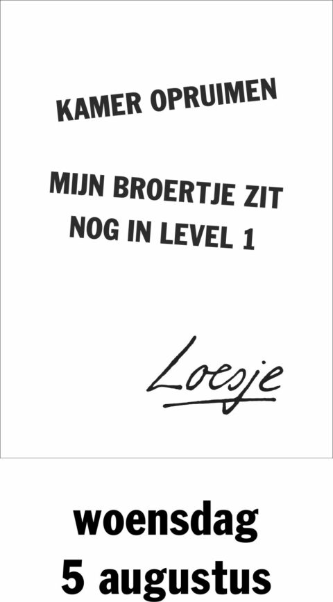 Kamer opruimen mijn broertje zit nog in level 1