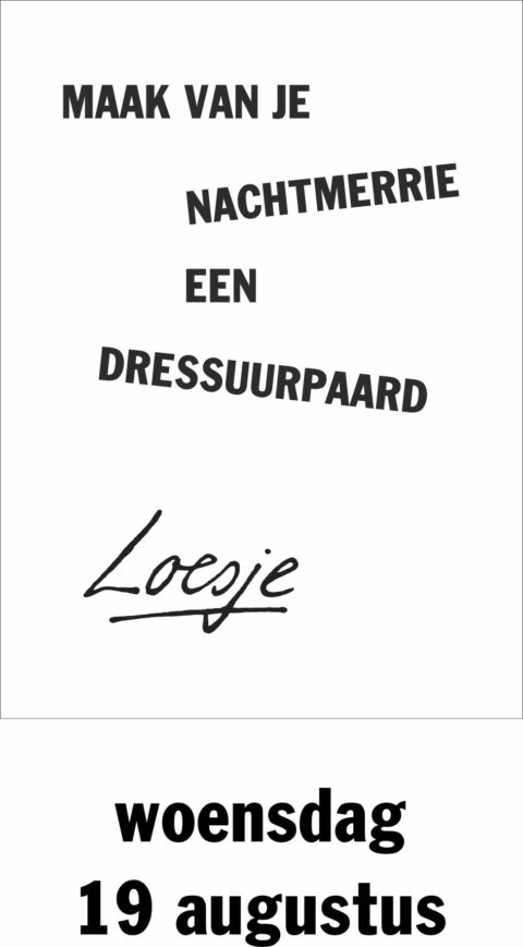 Maak van je nachtmerrie een dressuurpaard