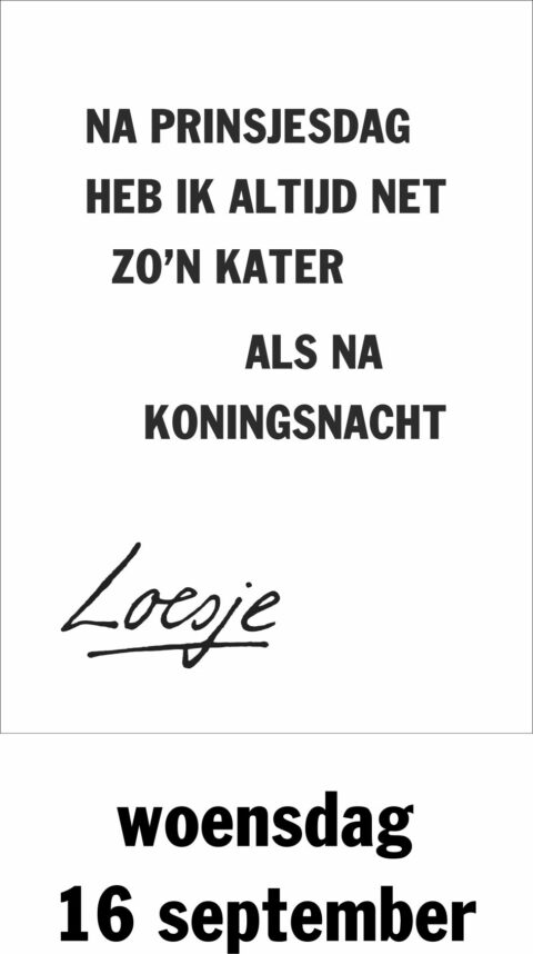 Na Prinsjesdag heb ik altijd net zon kater als na koningsnacht