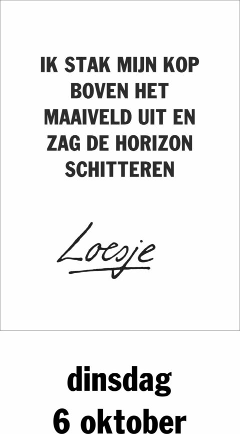 Ik stak mijn kop boven het maaiveld uit en zag de horizon schitteren