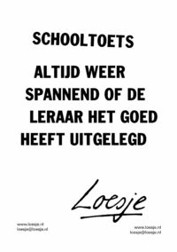 Schooltoets / altijd weer spannend of de leraar het goed heeft uitgelegd