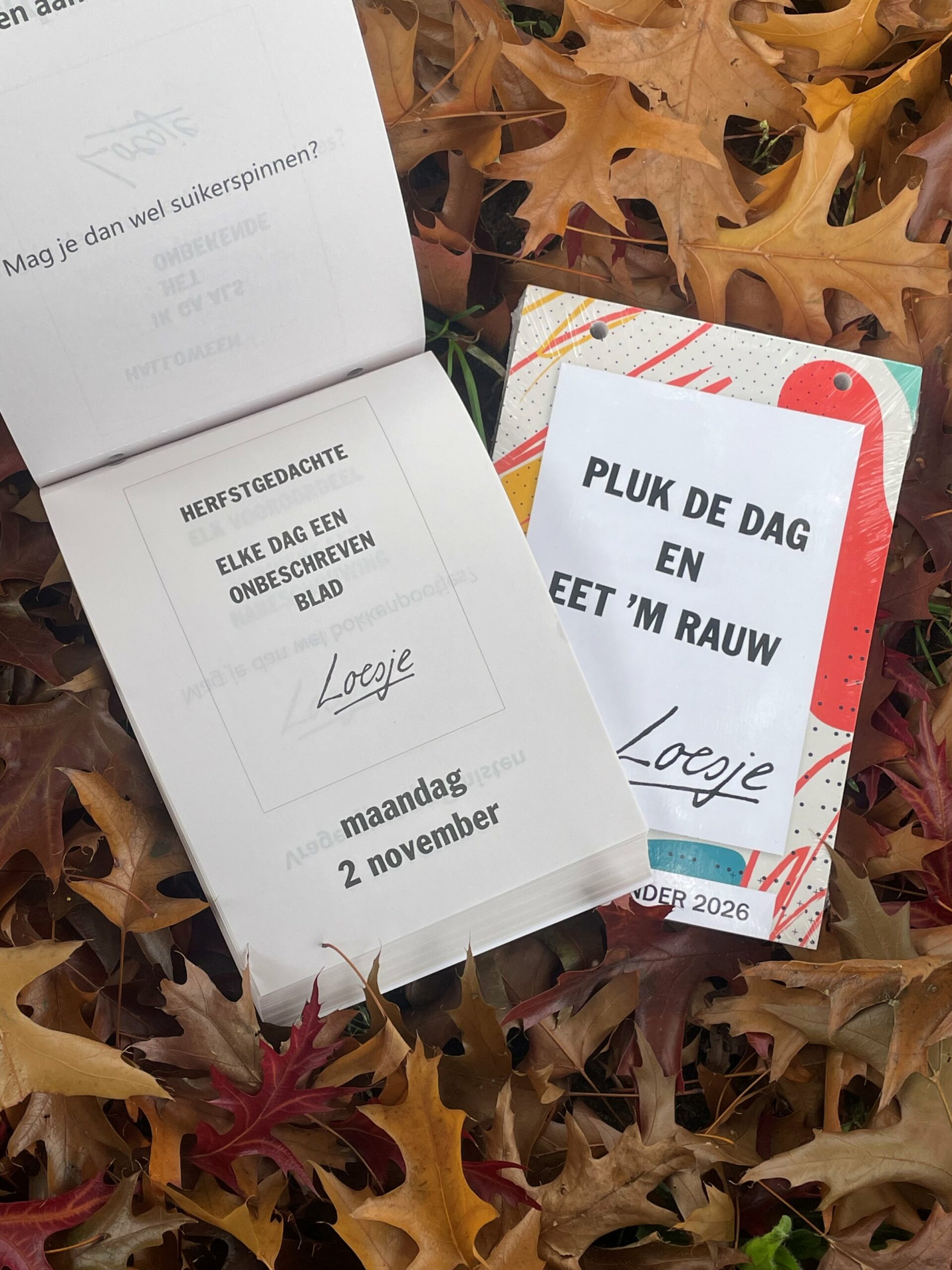 Loesje scheurkalender 2026 - Pluk de dag