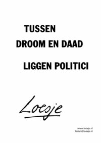 Tussen droom en daad liggen politici