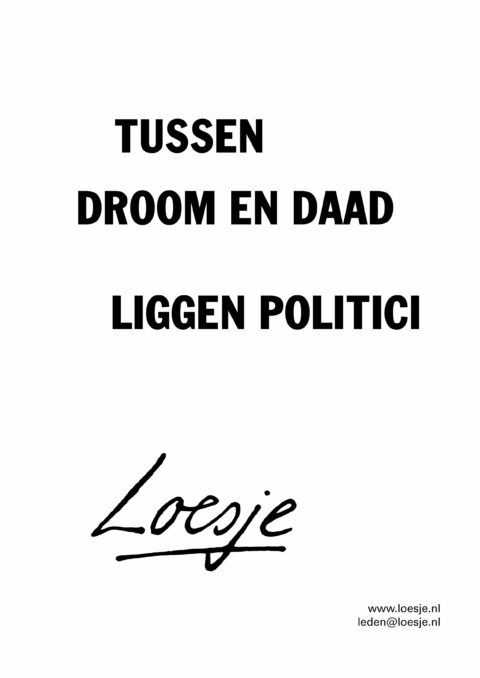 Tussen droom en daad liggen politici