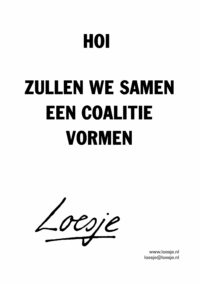 Hoi/ zullen we samen een coalitie vormen