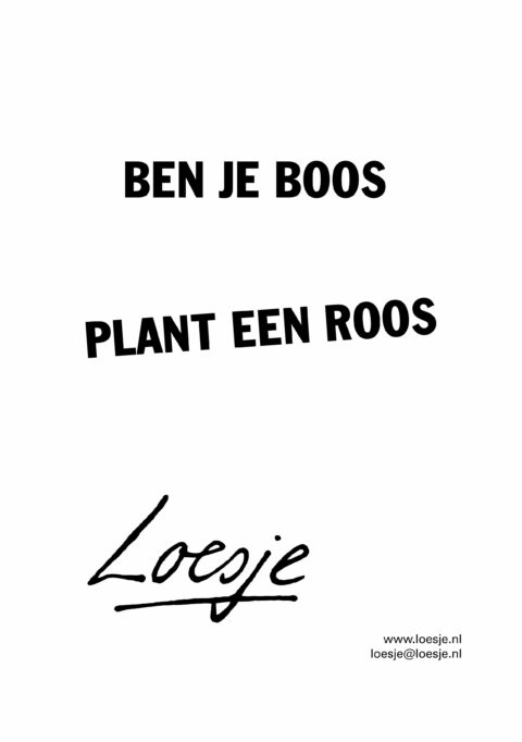 Ben je boos / plant een roos