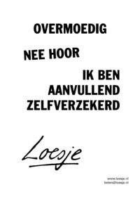 Overmoedig/ nee hoor / ik ben aanvullend zelfverzekerd