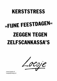 Kerststress / >>fijne feestdagen