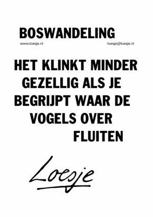 Boswandeling / het klinkt minder gezellig als je begrijpt waar de vogels over fluiten