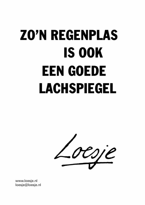 Zo’n regenplas is ook een goede lachspiegel