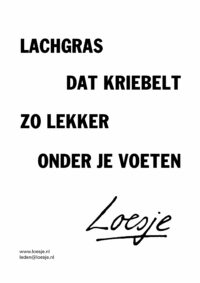 Lachgras dat kriebelt zo lekker onder je voeten