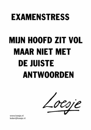 Examenstress mijn hoofd zit vol maar niet met de juiste antwoorden