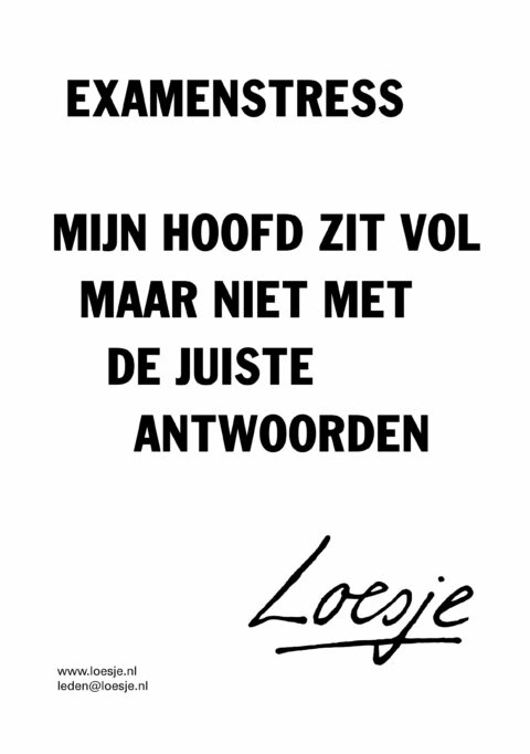 Examenstress mijn hoofd zit vol maar niet met de juiste antwoorden