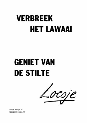Verbreek het lawaai geniet van de stilte