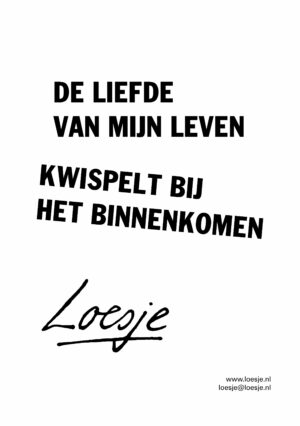 De liefde van mijn leven kwispelt bij het binnenkomen