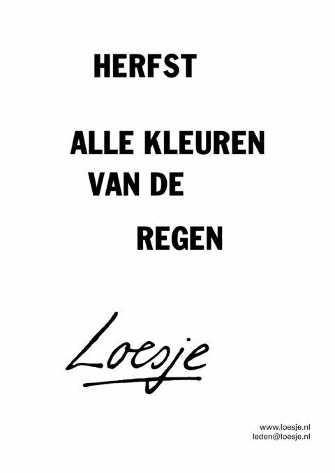 Herfst / alle kleuren van de regen