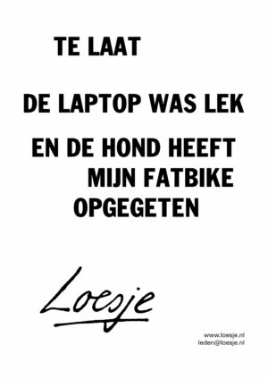 Te laat/ >>De laptop was lek en de hond heeft mijn fatbike opgegeten<<