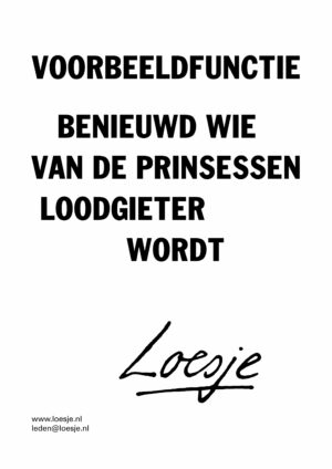 Voorbeeldfunctie / ik ben benieuwd welke van de prinsessen loodgieter wordt