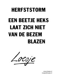 Herfststorm / een beetje heks laat zich niet van de bezem blazen